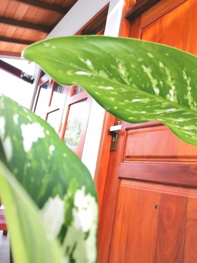 Villa Wismar Hikkaduwa Kültér fotó